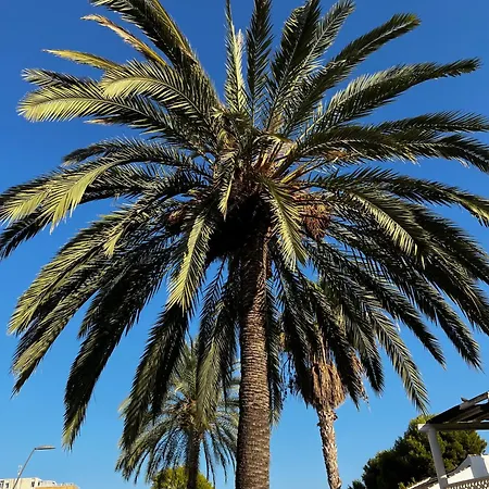 Stunning Molino Blanco La Zenia Οριουέλα