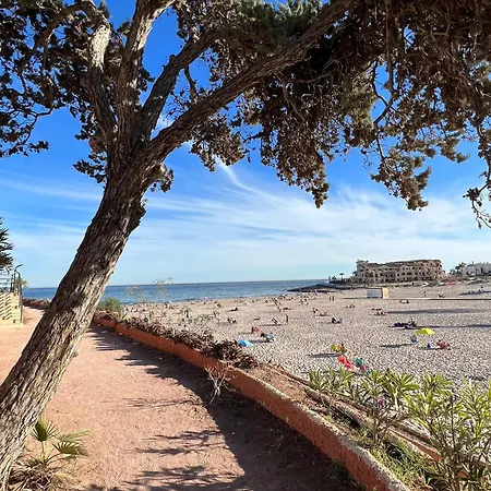 Stunning Molino Blanco La Zenia