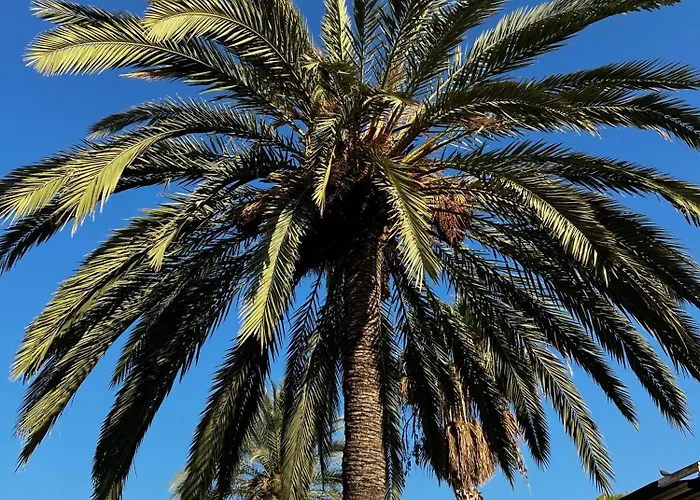 Stunning Molino Blanco La Zenia Oriola (Orihuela)